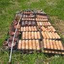 植木鉢　　大量　