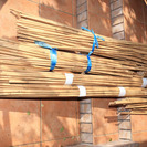竹の棒たくさん