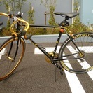 Raychell＋ R＋713 GolDragon [ブラックxゴールド]未使用　訳あり