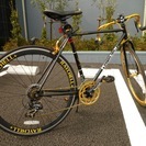 Raychell＋ R＋713 GolDragon [ブラックxゴールド]未使用　訳あり