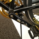 Raychell＋ R＋713 GolDragon [ブラックxゴールド]未使用　訳あり