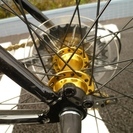 Raychell＋ R＋713 GolDragon [ブラックxゴールド]未使用　訳あり