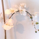 ◆胡蝶蘭◆鉢植え◆造花◆ 