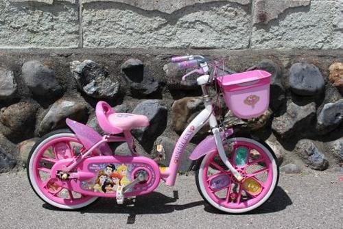 自転車 いきなり 補助 輪 なし