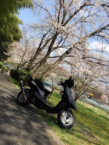 ジョグ jog sa36j 4st