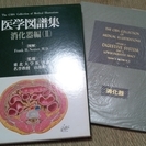 Netter 医学図譜集　10巻