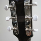 Gibson　Ｊ－４５　True Vintage