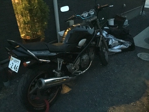 バンディット250