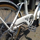 子乗せ20インチ 2015年2月から使用