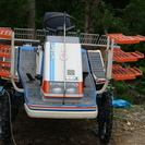 欲しい方ぜひ！基本ひきとりのみ