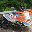 欲しい方ぜひ！基本ひきとりのみ