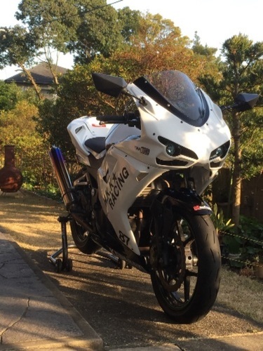 ninja250rカスタム