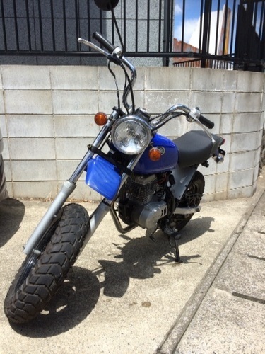 エイプ50 青