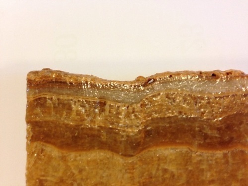 珍品！厚切りベーコン型の鍾乳石 - その他 