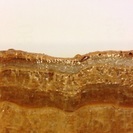 珍品！厚切りベーコン型の鍾乳石