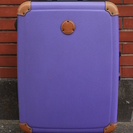 スーツケース＋スーツケースベルト
