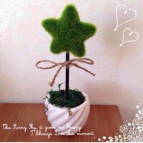 観葉植物♡1500円