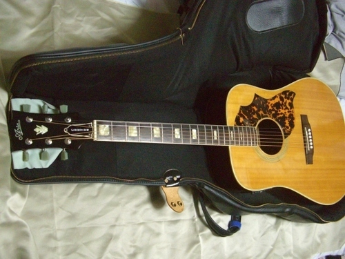 ★取引完了！ARIA WH-25　FishmanPU・gibusonペグ・高級ギグバック付！