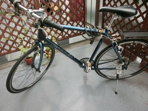 ジャイアントエスケープR3（中古）サイズL（ブルー）