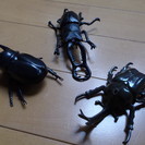 カブトムシ　模型　３体せっと