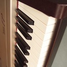 ＜交渉中＞Rolandキーボード Digital Piano FP-3