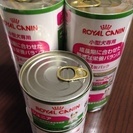 ロイヤルカナン CHN－WET ジュニア 195g×8缶 正規品