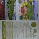 箱館山　コキアパーク　特別無料ご招待券（２枚１組）