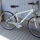 ルイガノ　ＴＲ１