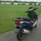 ☆ロンシン125☆