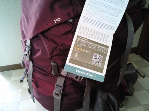 送料無料】グレゴリー ディバ７０ レディースＸＳサイズ | stainu