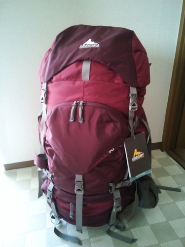 送料無料】グレゴリー ディバ７０ レディースＸＳサイズ | stainu