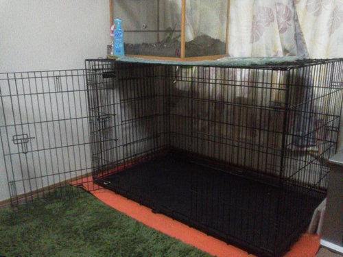 超大型犬用ゲージ