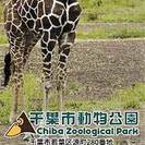 【終了】 千葉市動物公園招待券 ２枚セット