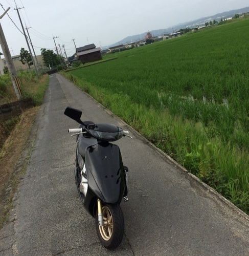 その他 zx
