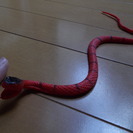 赤ヘビ　模型