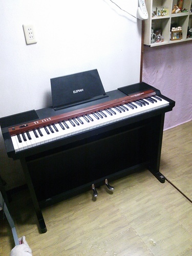 当店だけの限定モデル コロンビア ピアノ - 鍵盤楽器 - alrc.asia