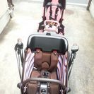 ギュットミニDX 20インチ ピンク