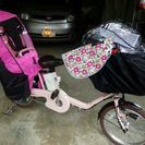 ギュットミニDX 20インチ ピンク