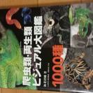 商談中【値下げ】爬虫類ㆍ両生類ビジュアル大図鑑1000種