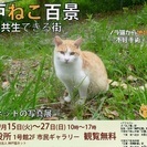 第４回写真展「神戸ねこ百景～ねこと共生できる街～」の画像