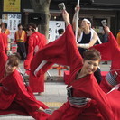 麗ダンシンで、来年３月　浜松よさこい「がんこ祭り」に参加しませんか？ − 静岡県