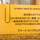 8/30 a-nationコンサートチケット