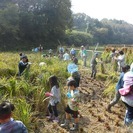 稲刈りと自然体験ー稲や生きものとの触れ合いを通して谷津里山の自然...