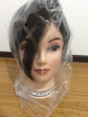 美容師国家試験用ウィッグ 6体セット