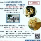 9月27日（日曜）第16回猫の譲渡会（NPO法人神戸猫ネット＆株...