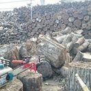 薪  木 木材 材木 伐採