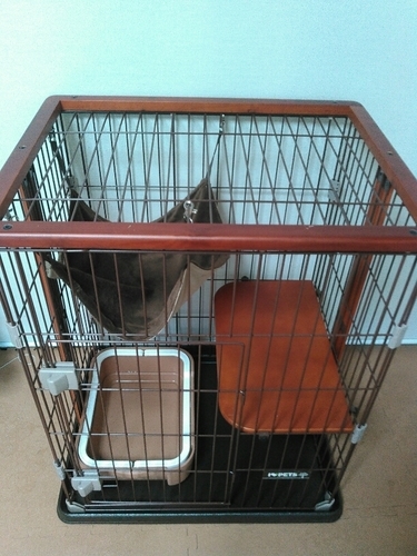 美品猫ゲージ＆トイレ＆子猫用フード