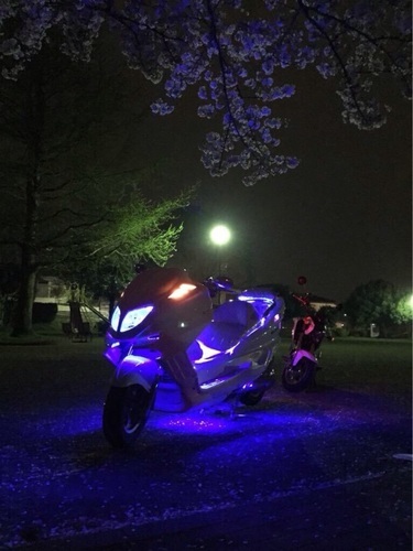 sg03j マジェスティー