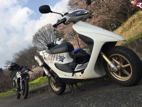 HONDA ライブディオZX（AF35）