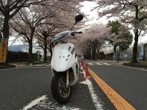 HONDA ライブディオZX（AF35） Dio zx ホンダ ホンダ 中古バイク 京都